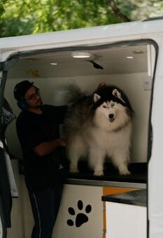 How to Build a Steady Clientele for Mobile Dog Grooming Services