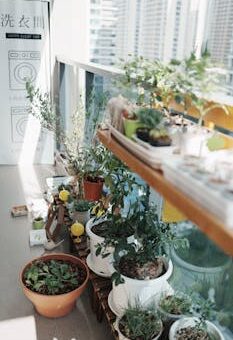 How to Safely Offer Residential Plant Sitting and Urban Garden Care